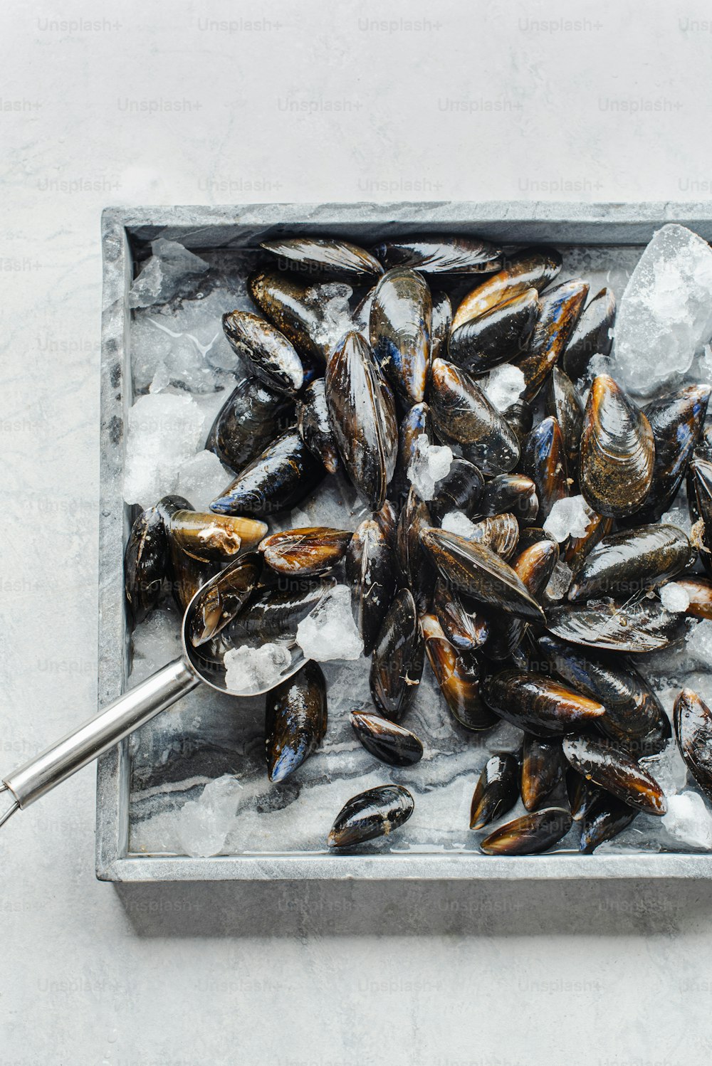 a metal tray filled with mussels and ice