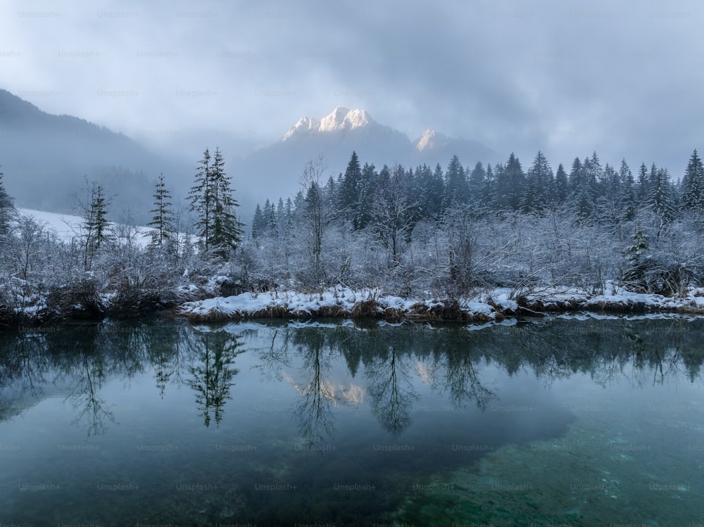 um lago cercado por árvores cobertas de neve e montanhas