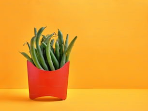 a plant in a red vase on a yellow background