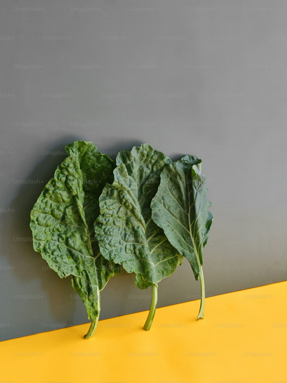 un par de verduras de hoja verde encima de una mesa amarilla