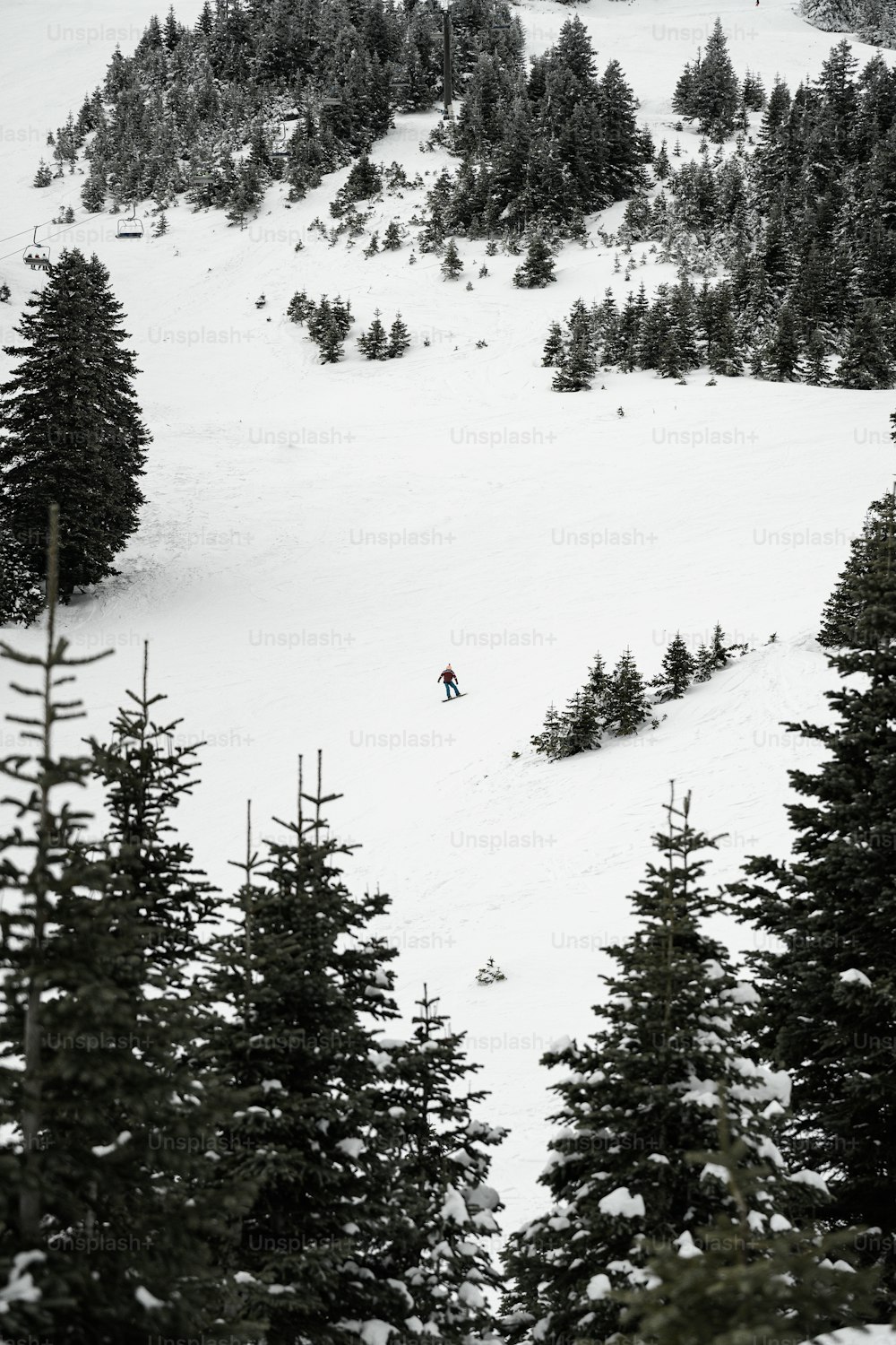 스키를 타고 눈 덮인 슬로프를 내려가는 사람