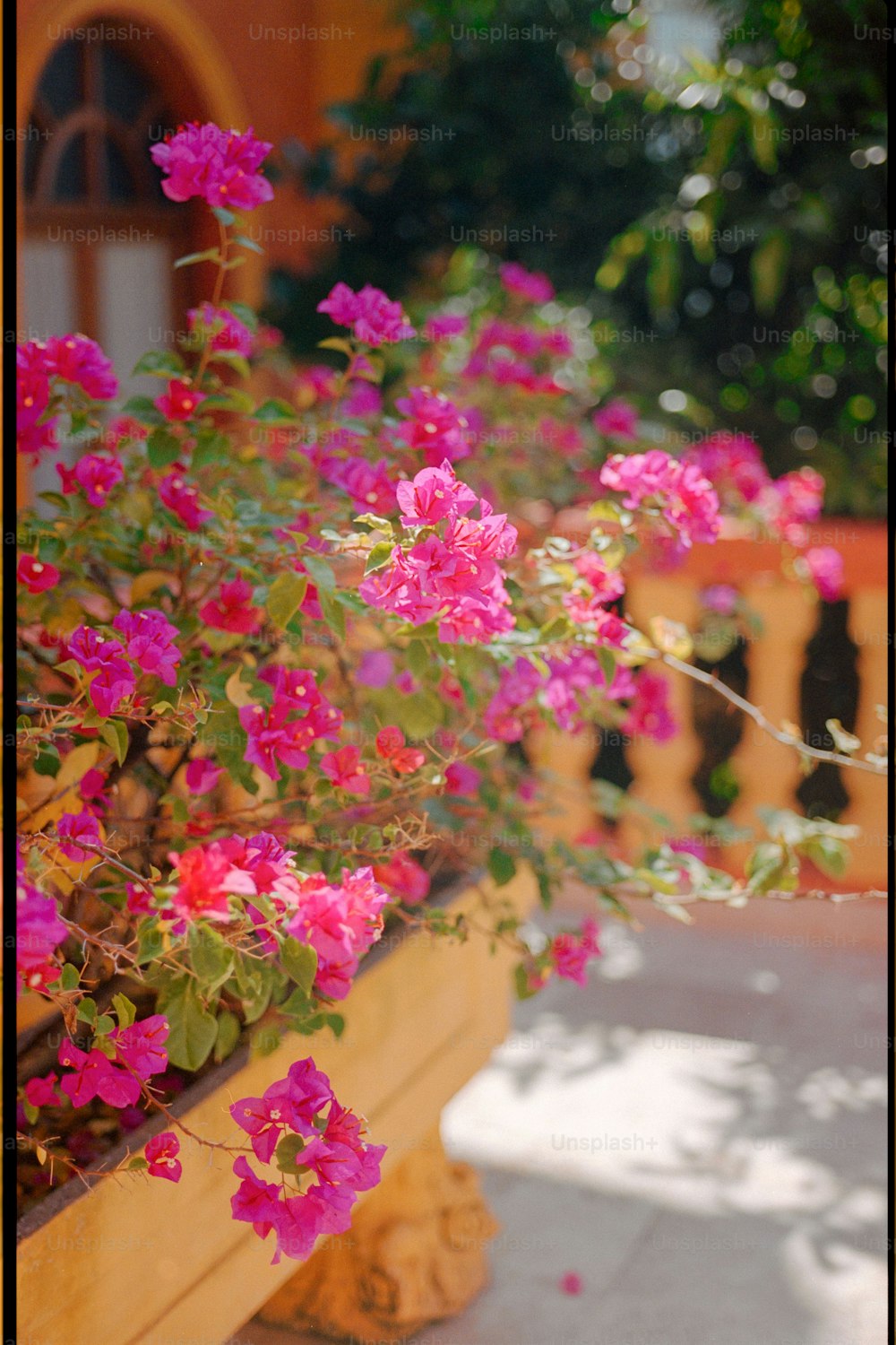 a planter filled with pink flowers next to a wooden fence
