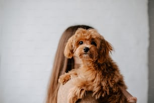 a woman holding a dog in her arms