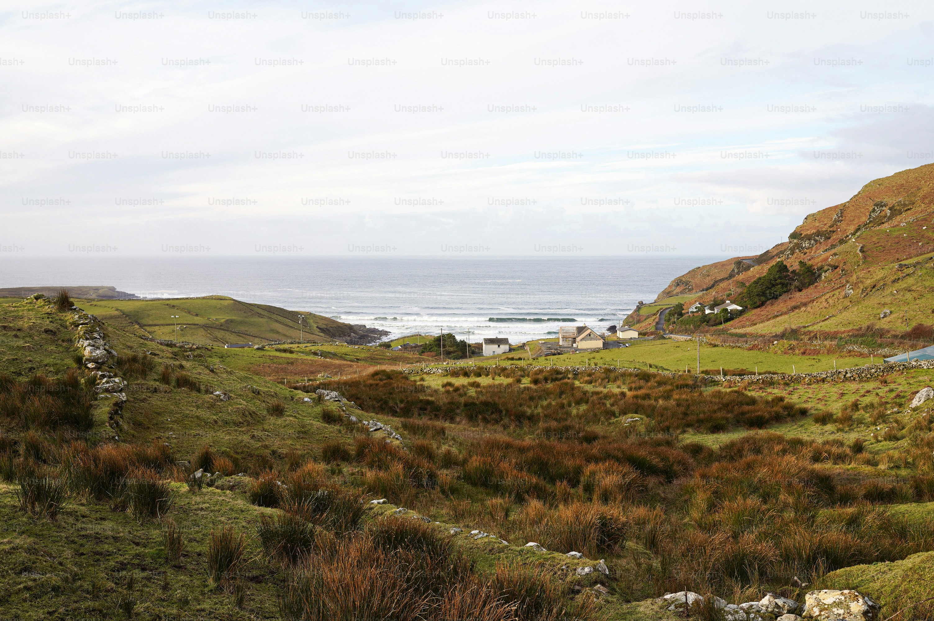 a lush green hillside next to a body of water
