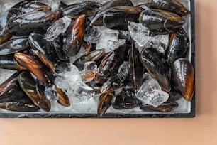 a tray of mussels on ice on a table