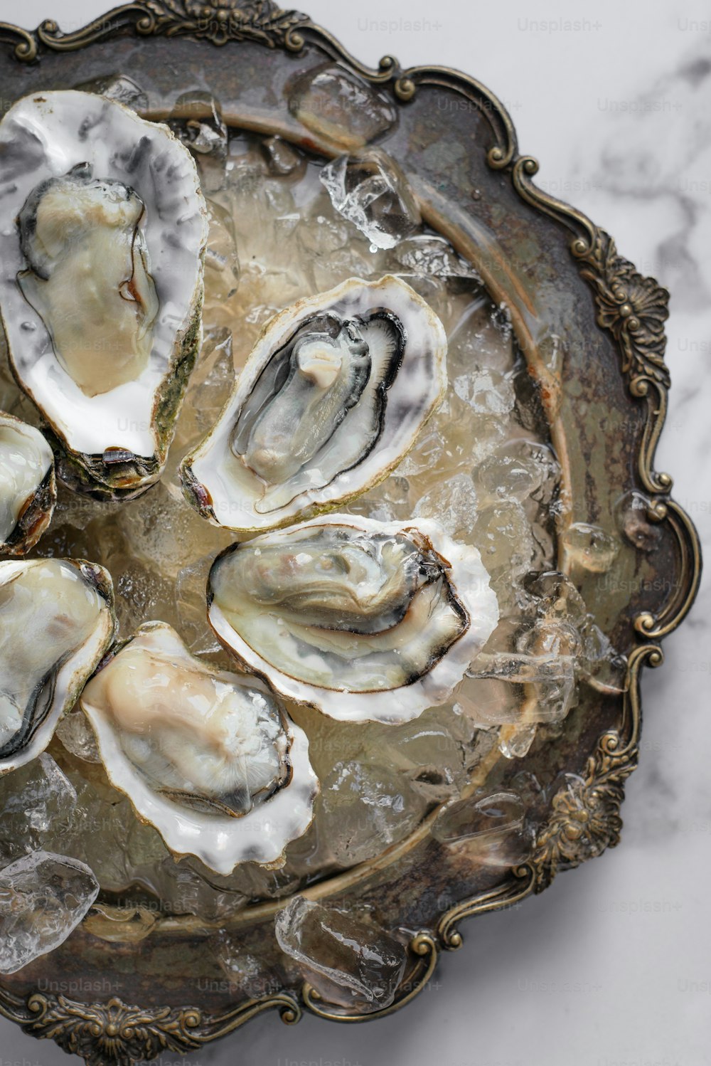 a plate of oysters on ice on a table