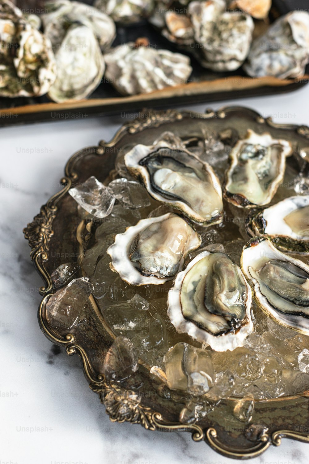 a plate of oysters sitting on a table
