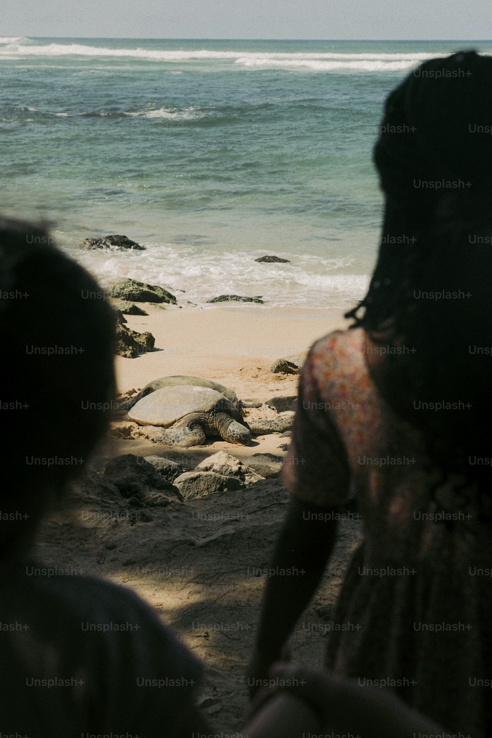 um casal de pessoas em pé em cima de uma praia de areia