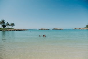 a group of people swimming in a large body of water