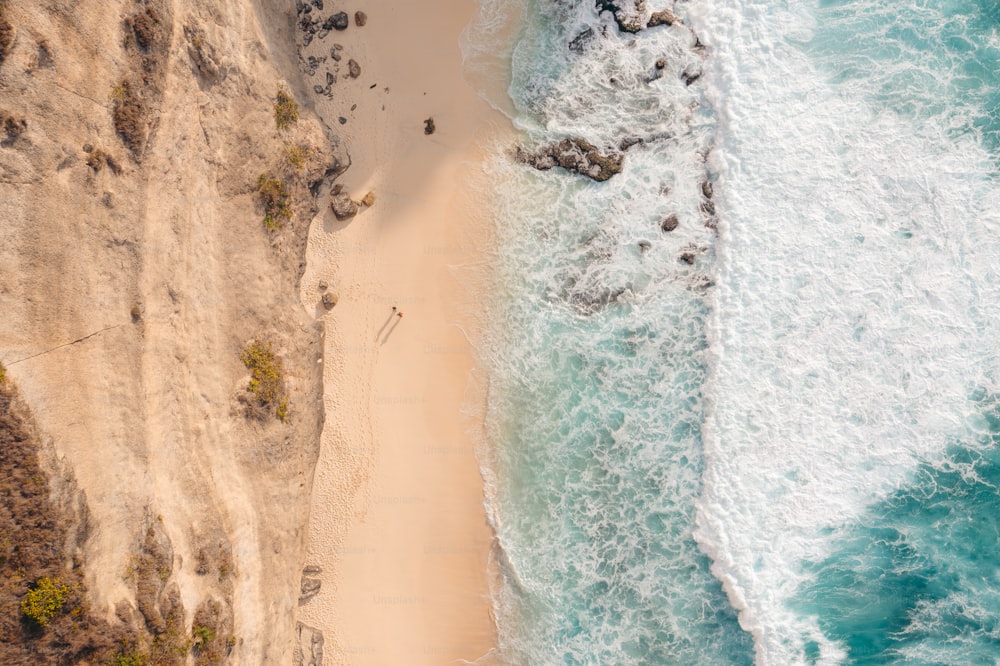 uma vista panorâmica de uma praia de areia e oceano