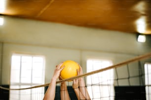 a person holding a volleyball over a net