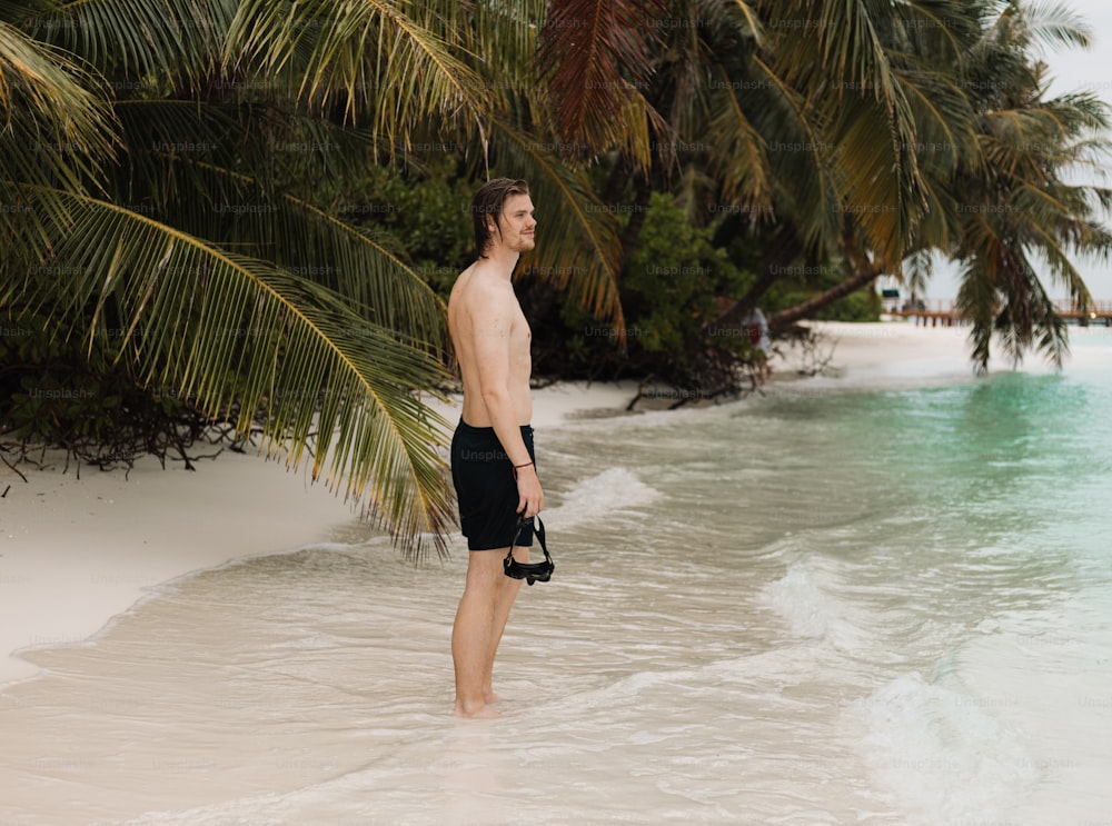 un uomo in piedi su una spiaggia vicino a una palma