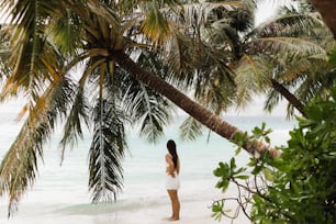 a woman standing under a palm tree on a beach