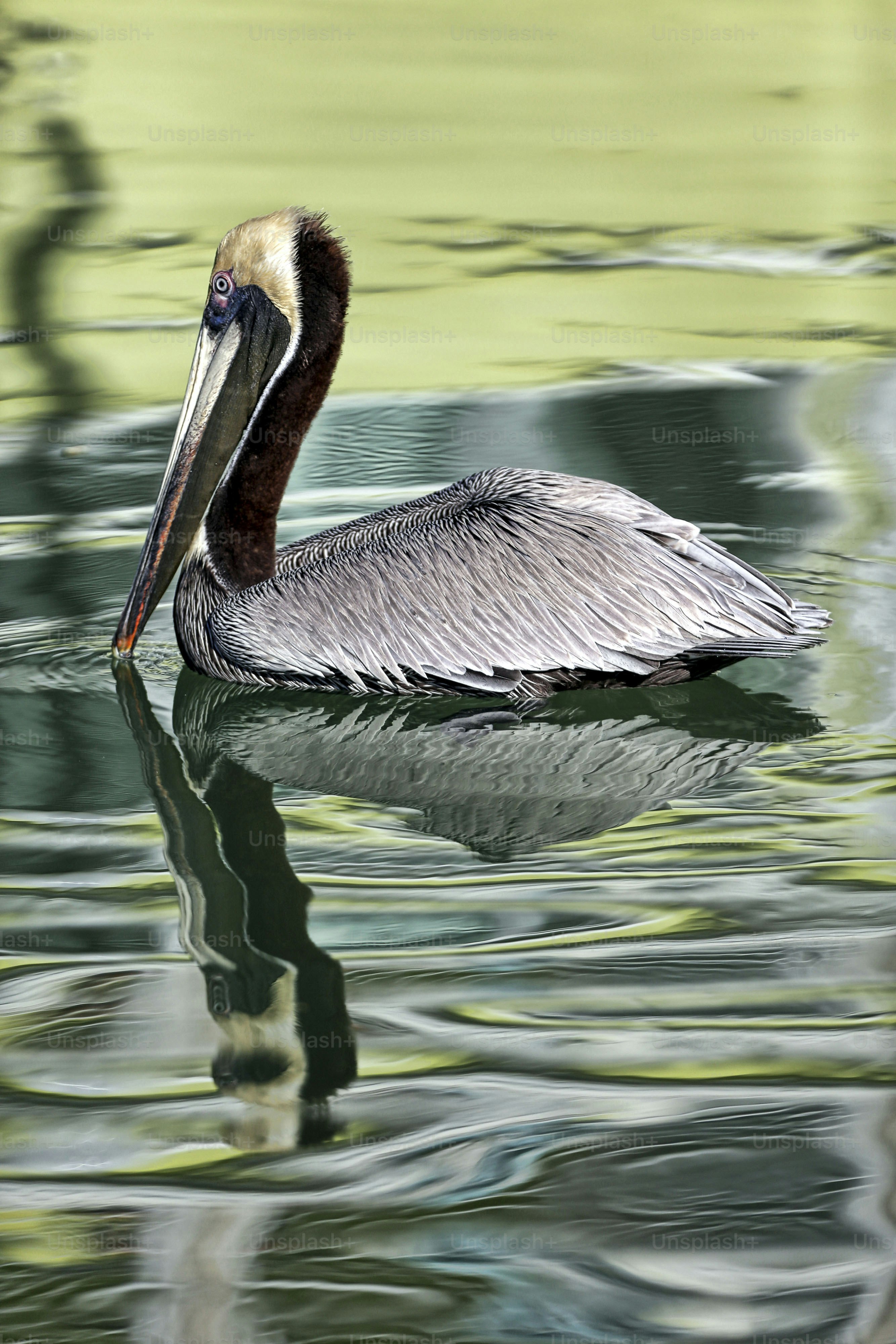 Topsfield, Massachusetts