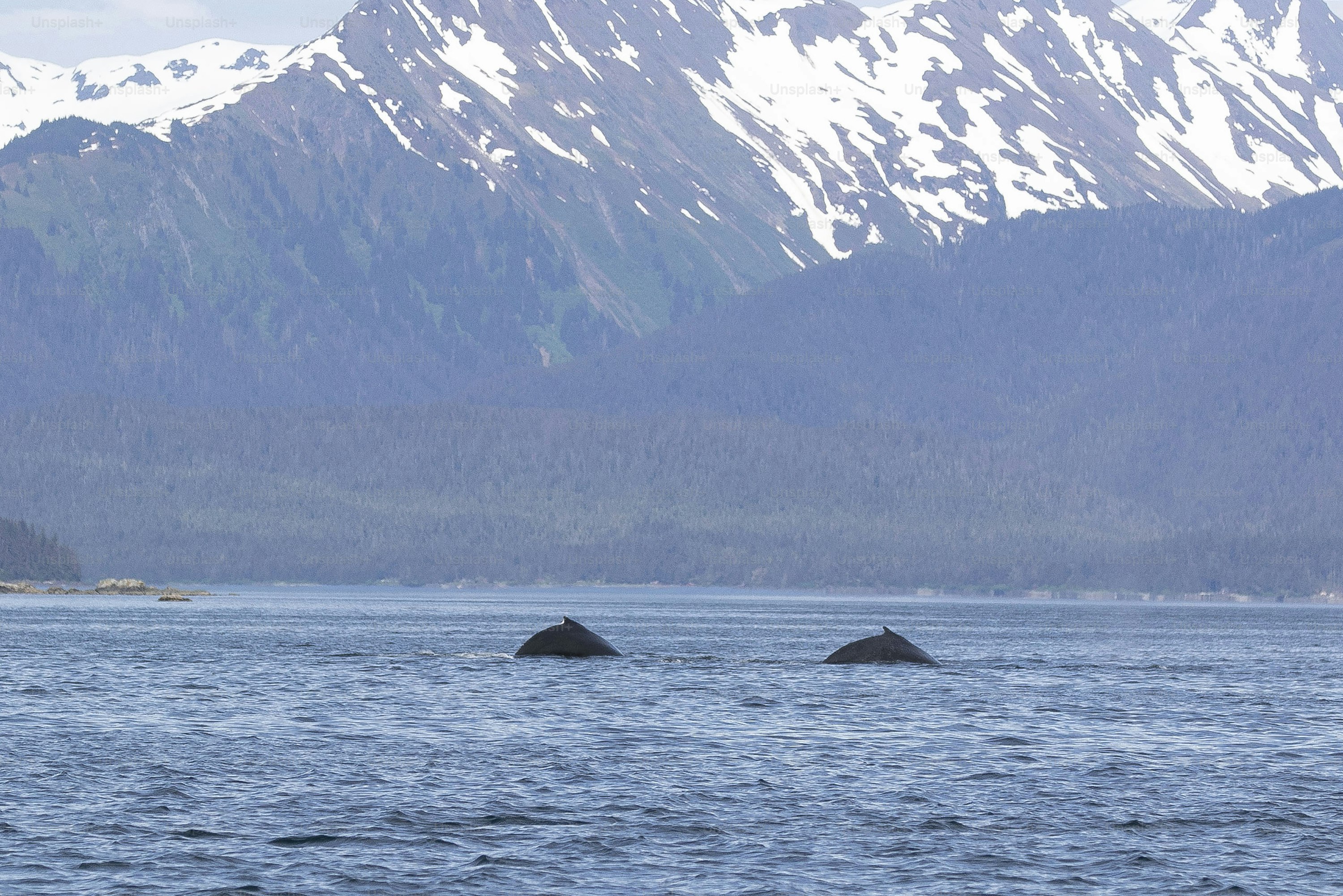 a large body of water with mountains in the background