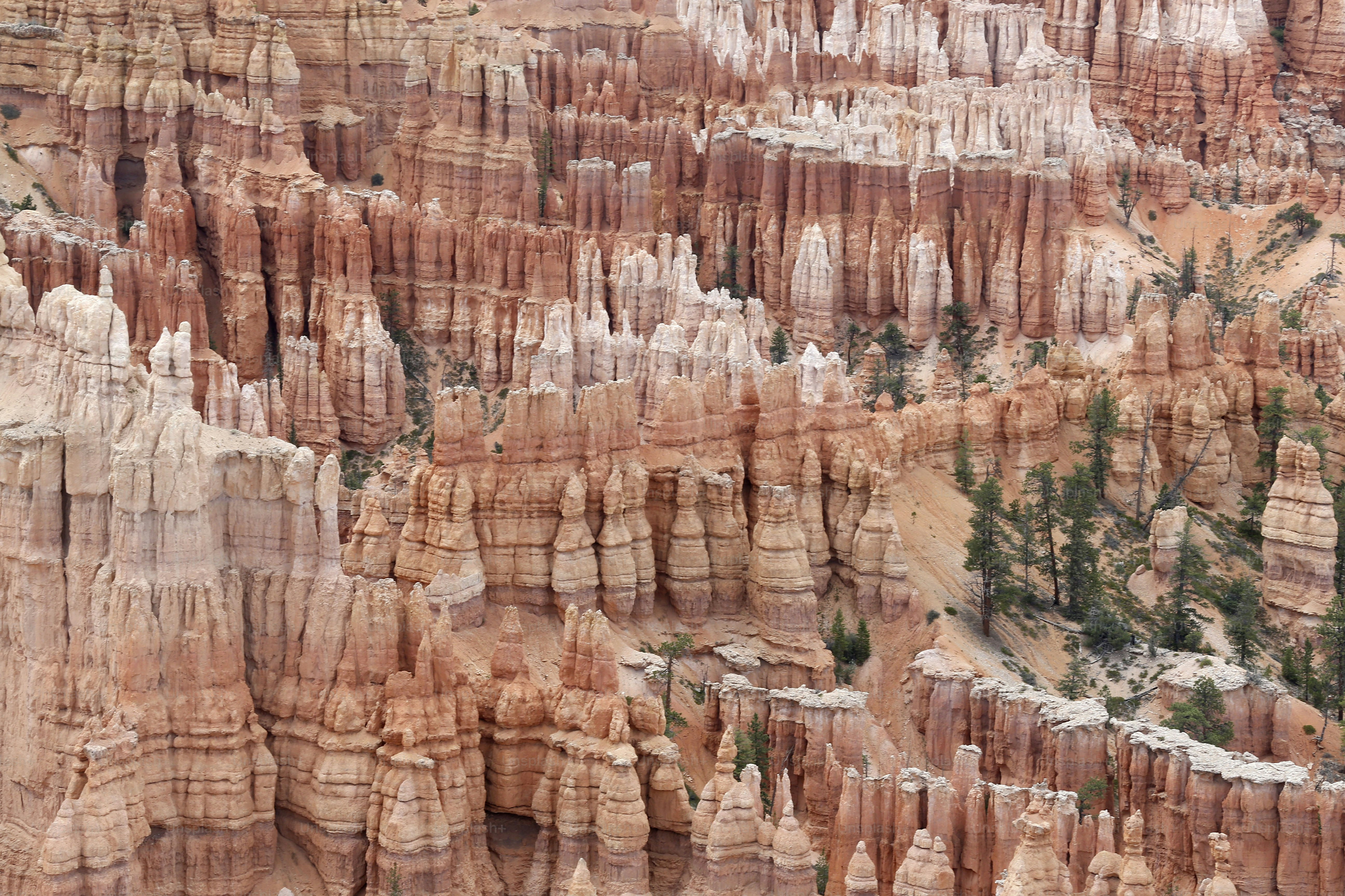 Hoodoos in bryce canyon national park, utah
