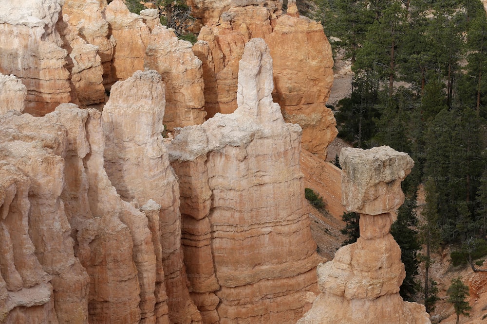 una persona in piedi su una sporgenza in un canyon