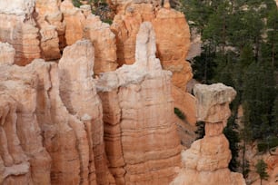 a person standing on a ledge in a canyon