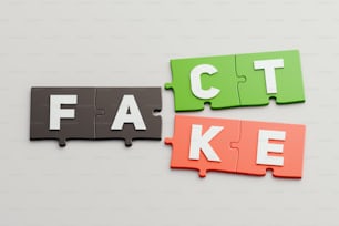 Zwei Puzzleteile mit den Wörtern "Fakt" und "Fälschung"