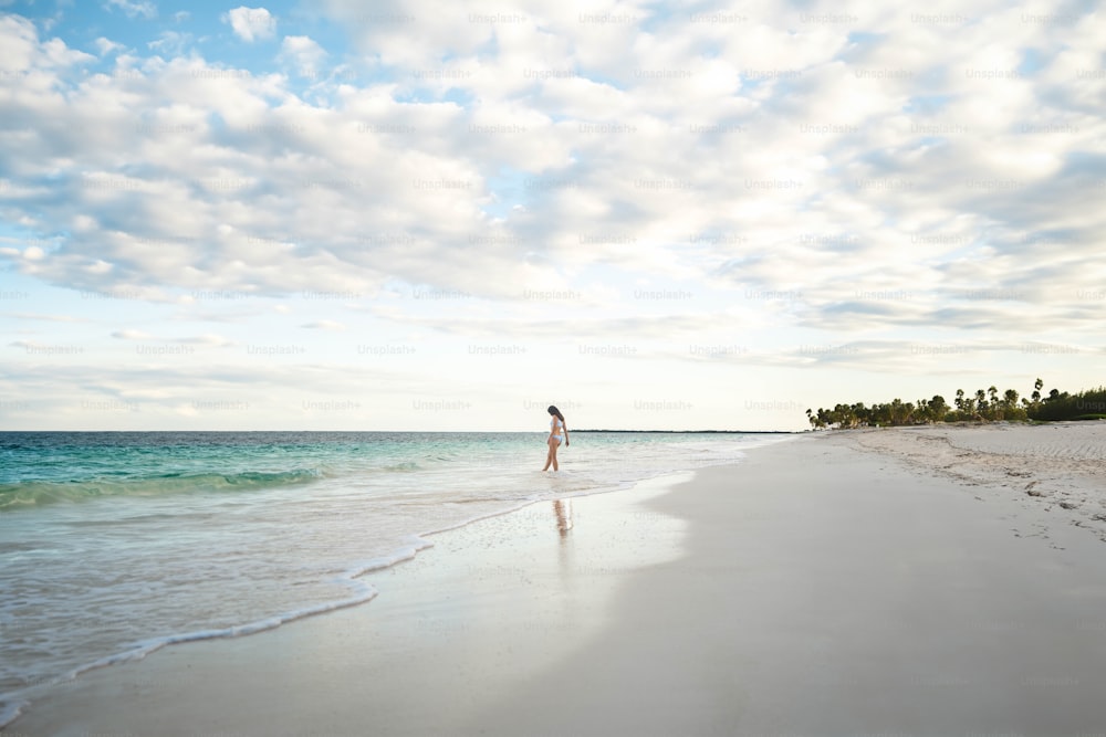 una mujer de pie en una playa junto al océano