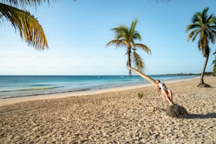 Un hombre parado en una playa junto a una palmera