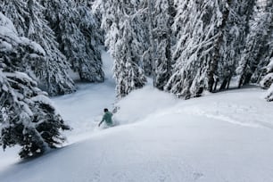 une personne faisant du snowboard sur une pente enneigée