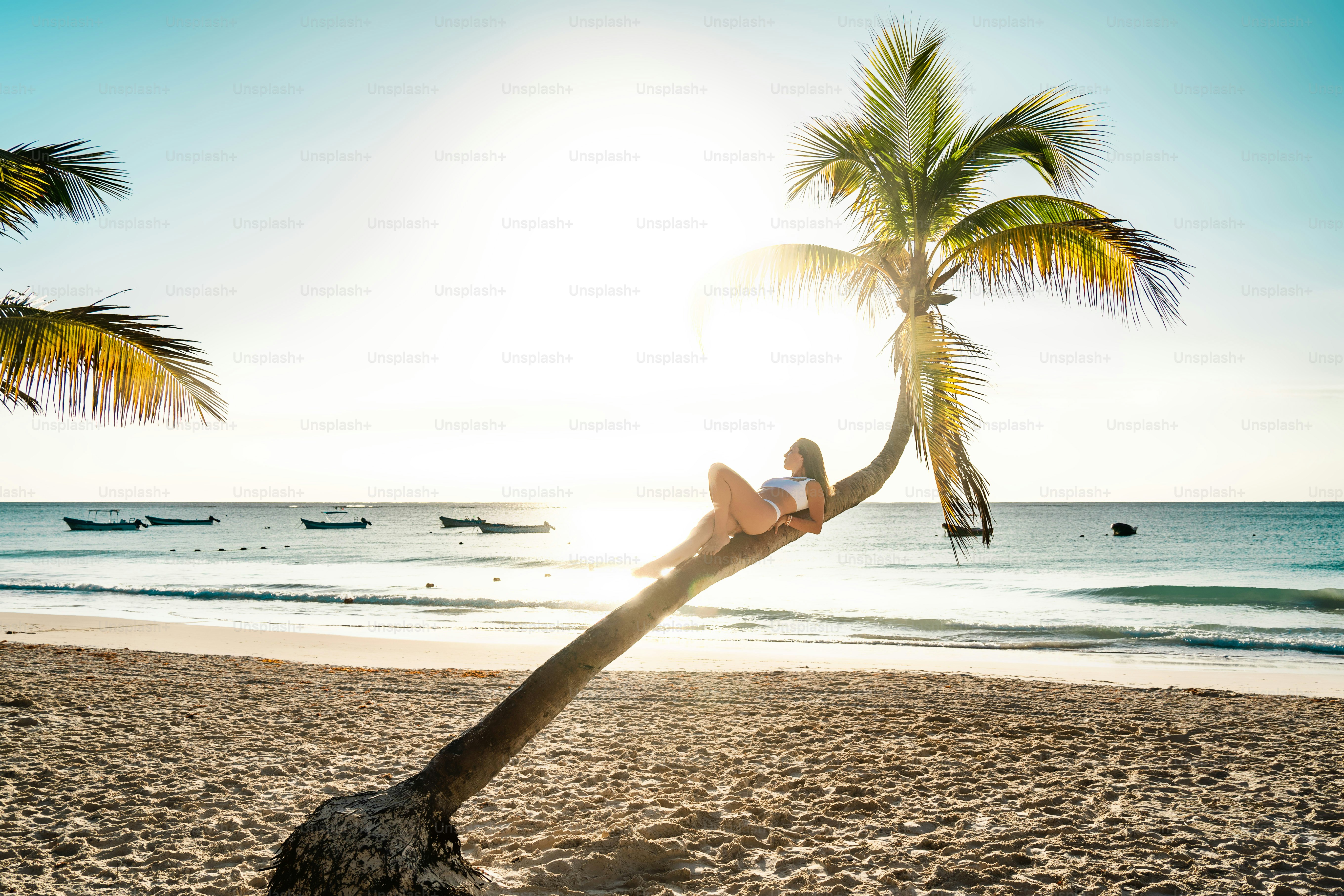 uma mulher está sentada em uma palmeira na praia