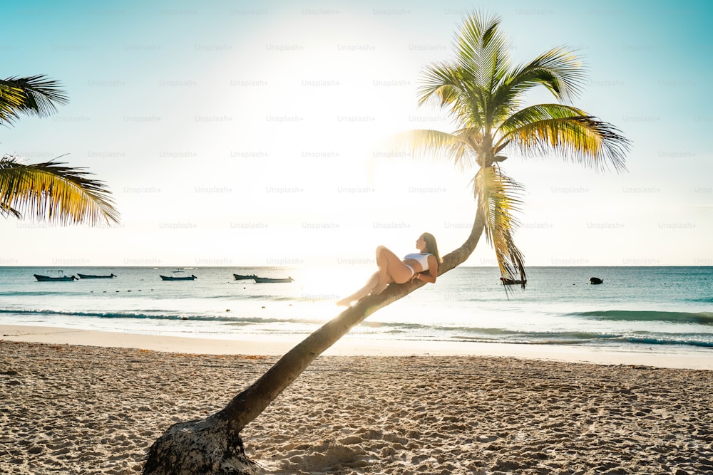 a woman is sitting on a palm tree on the beach