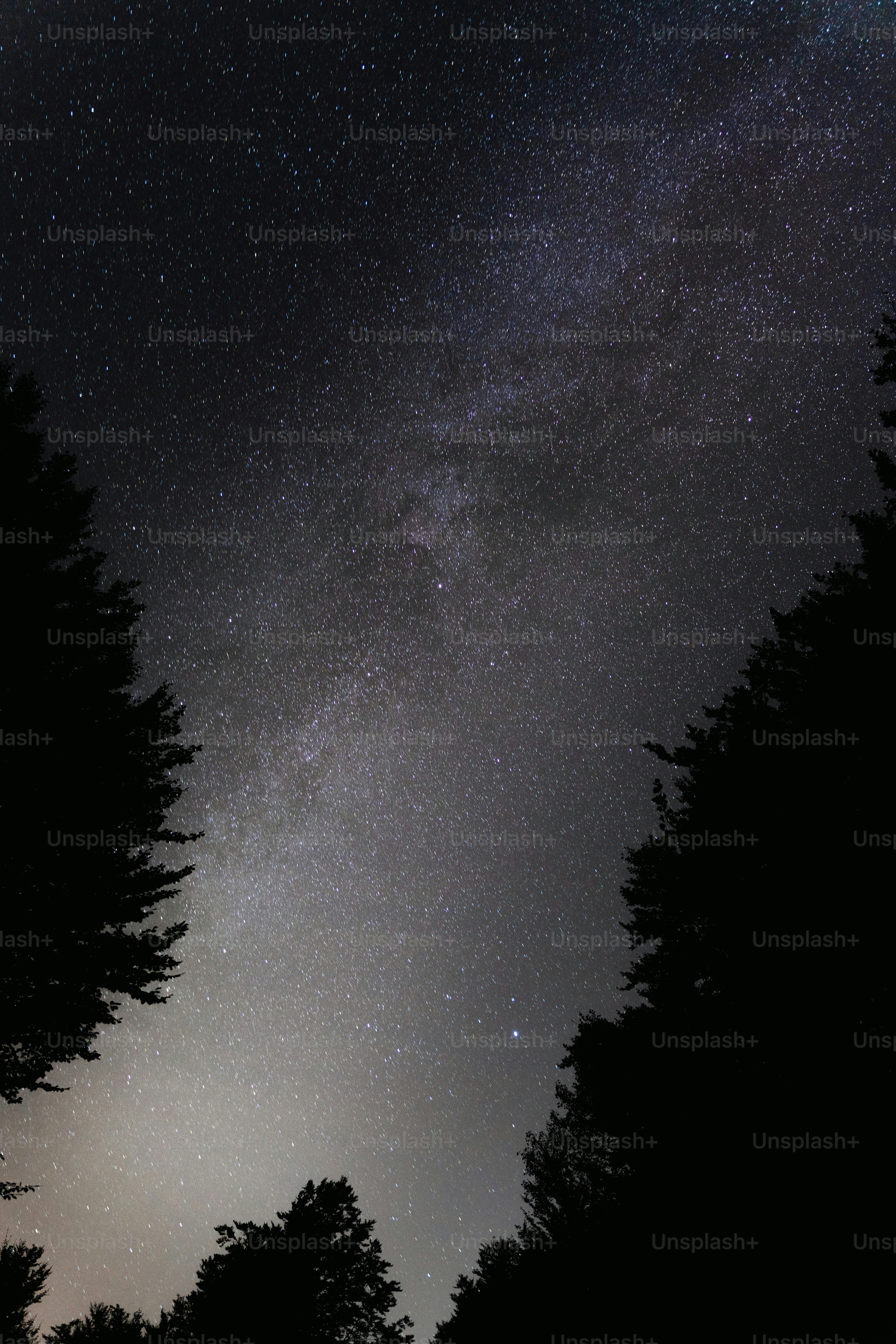 the night sky is filled with stars and trees