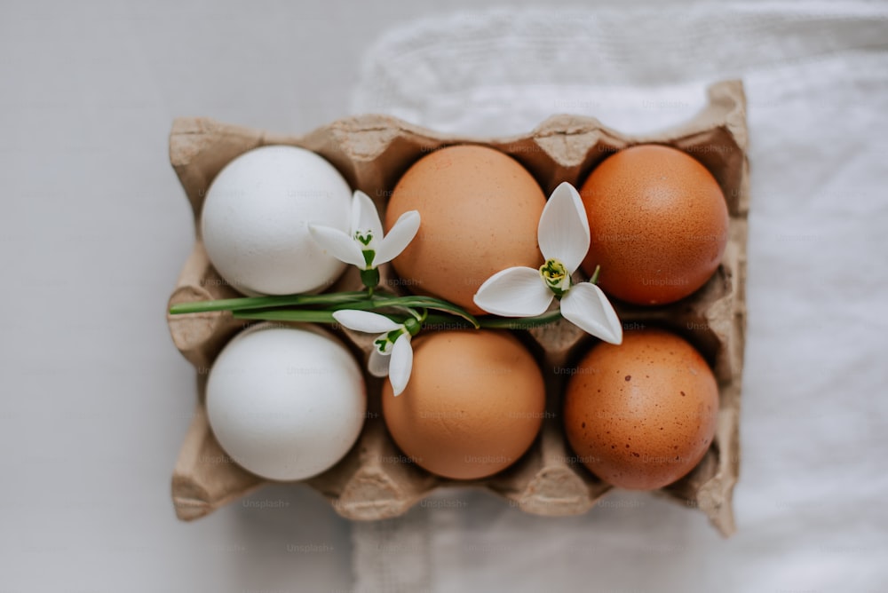 un carton rempli d’œufs et de fleurs blanches