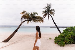 una donna in piedi su una spiaggia accanto a una palma