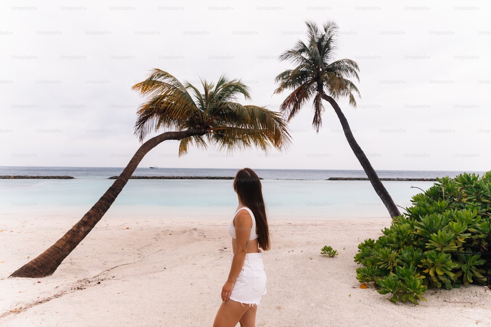 a woman standing on a beach next to a palm tree