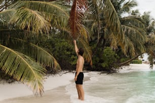 a man standing on a beach next to a palm tree