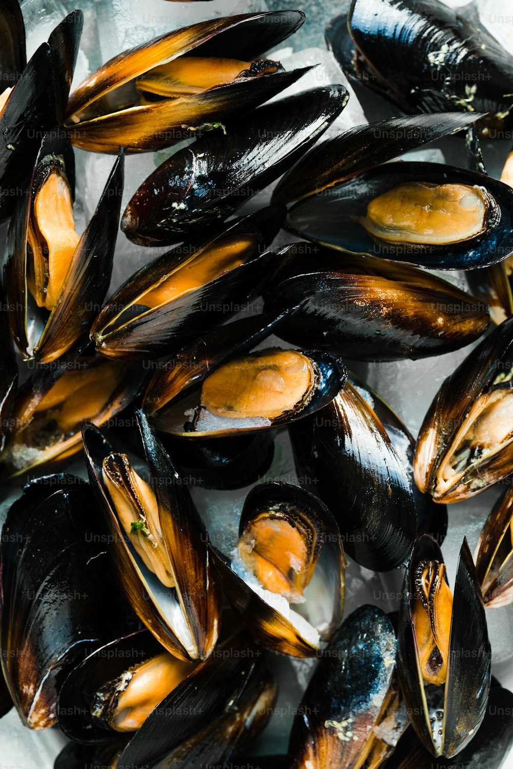 a bunch of mussels sitting on top of a table