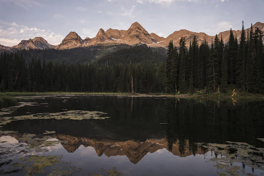 Calm morning at Sproat Lake near Port Alberni with pine trees along the shore