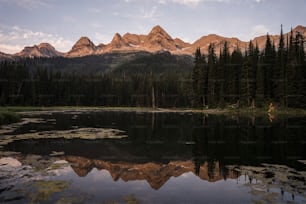 a lake surrounded by pine trees and mountains