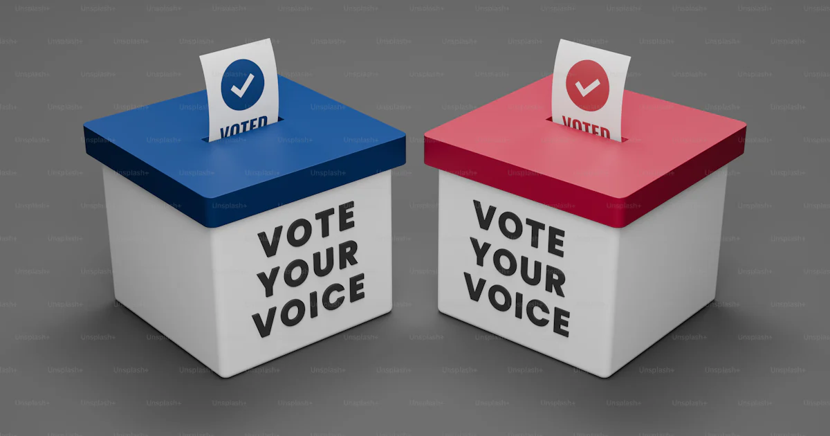 Two voting boxes with vote your voice written on them photo – Ballot ...
