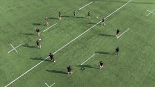 a group of people on a field playing with a frisbee