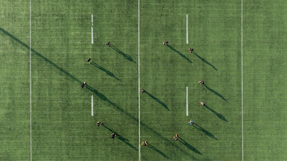 um grupo de pessoas em um campo jogando futebol