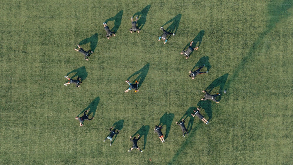 un grupo de personas acostadas en la cima de un exuberante campo verde