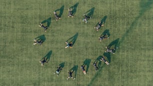 un grupo de personas acostadas en la cima de un exuberante campo verde