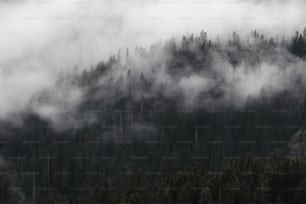 una montagna coperta di nuvole e alberi