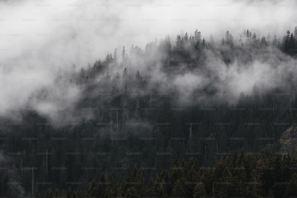 una montagna coperta di nuvole e alberi