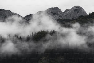 a mountain covered in fog with trees in the foreground