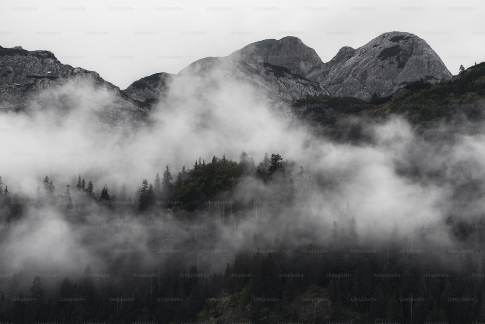 una montaña cubierta de niebla con árboles en primer plano