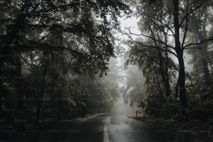 a road with trees and a house in the middle of it