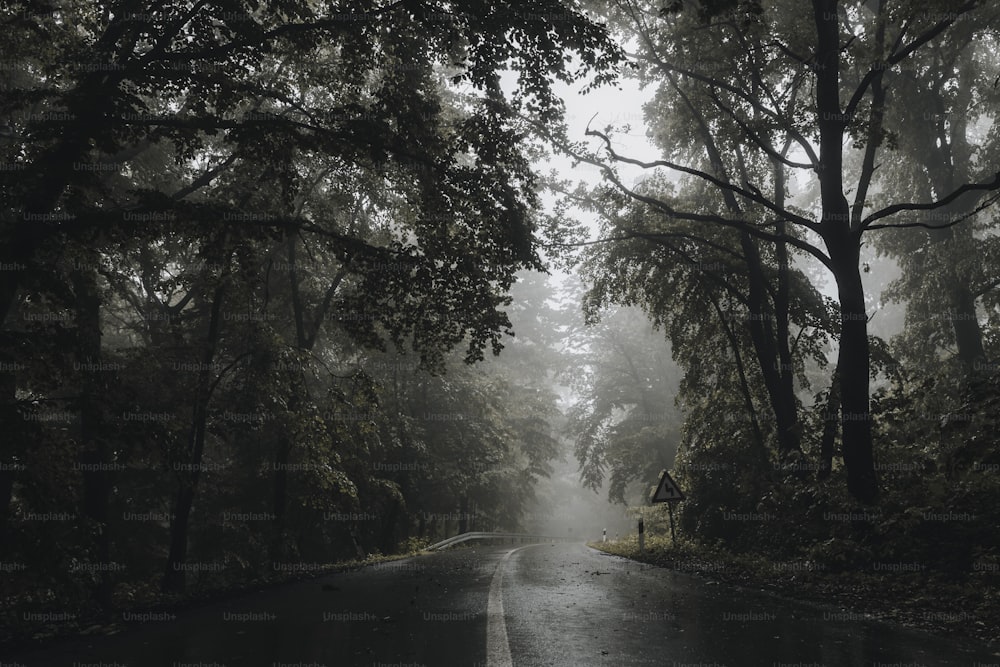 a road with trees and a house in the middle of it