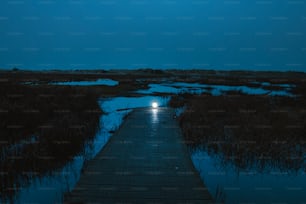 a wooden walkway leading into a marsh at night