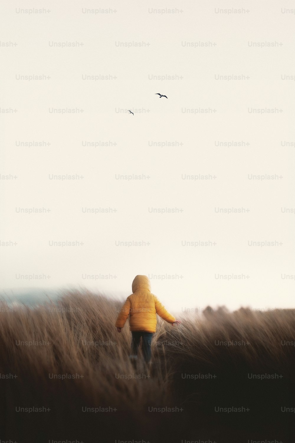 uma pessoa com uma jaqueta amarela andando pela grama alta