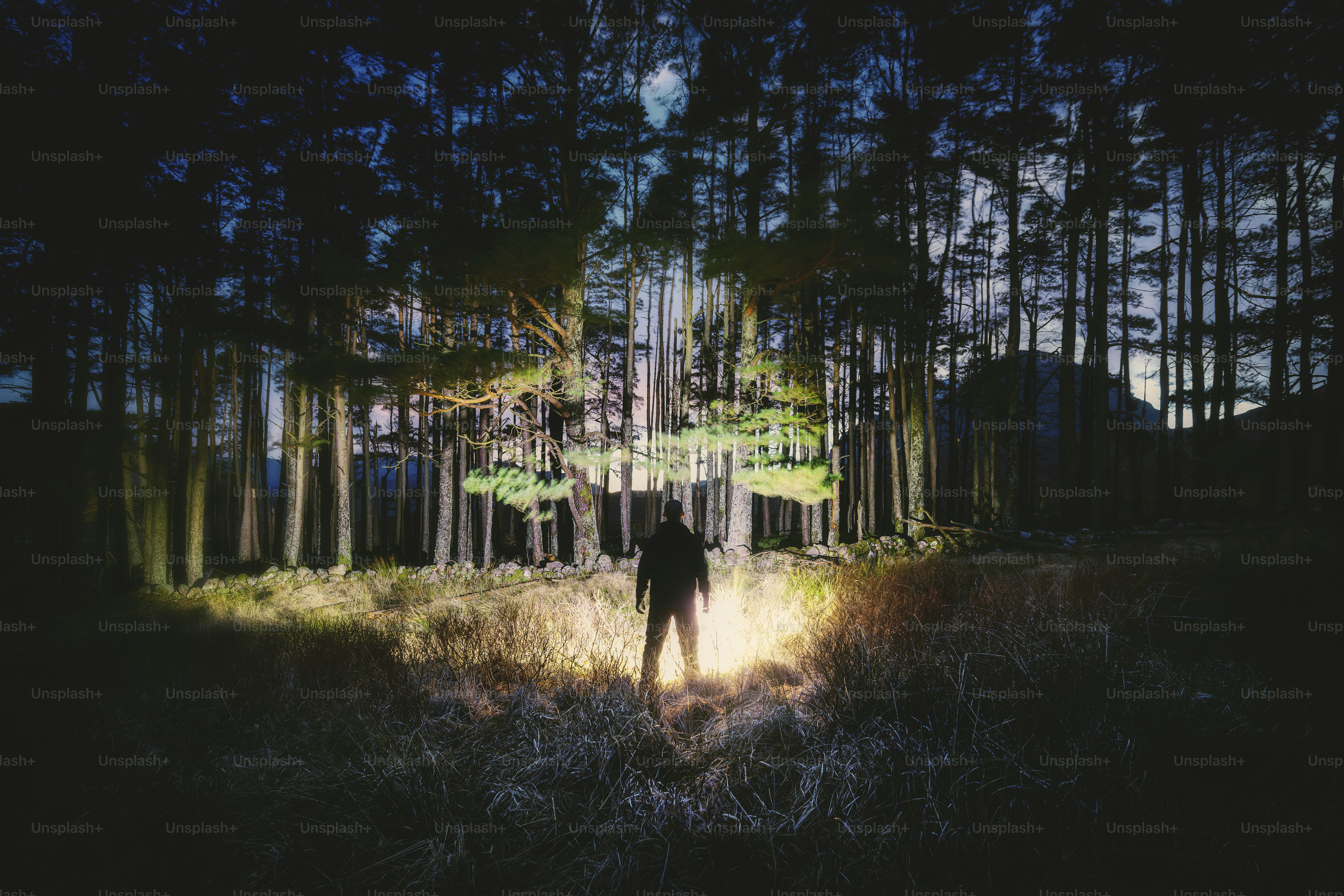 a man standing in the middle of a forest at night